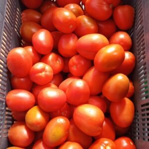 TOMATE