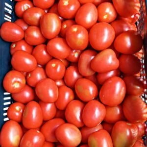 TOMATE