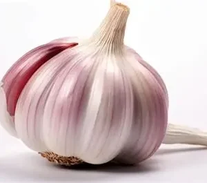 CABEZA DE AJO
