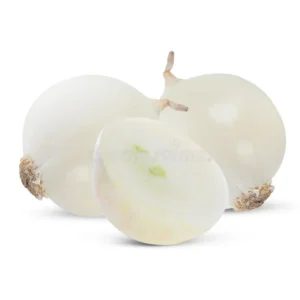 CEBOLLA