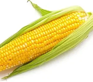 ELOTE C/U