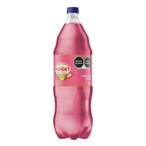 MUNDET FRESA KIWI 2L