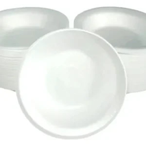 PLATO DESECHABLE POZOLERO