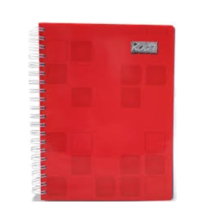 CUADERNO ROCA RAYA
