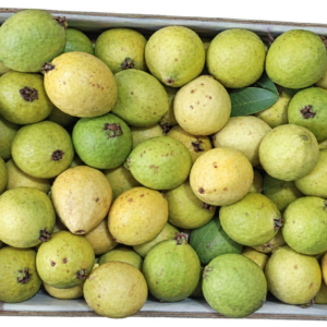 Guayaba